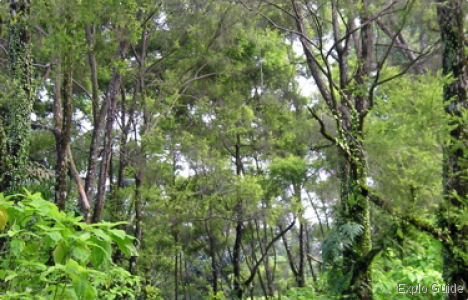 ExploGuide - Off the beaten path travel and alternative tourism database, offtrack destinations