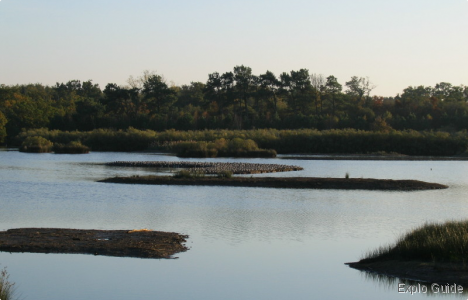 Teich bird reserve, Arcachon Explo-guide - Alternative travel database