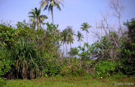 Terkulai island, Tanjung Pinang, Bintan ExploGuide - Off the beaten path travel and alternative tourism database, offtrack destinations