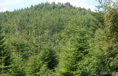 Tête du Coquin summit & bunker, Vosges Explo-guide - Alternative travel database