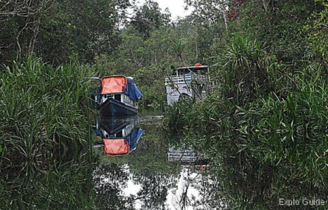 black water of Sekonyer river ExploGuide - Off the beaten path travel and alternative tourism database, offtrack destinations