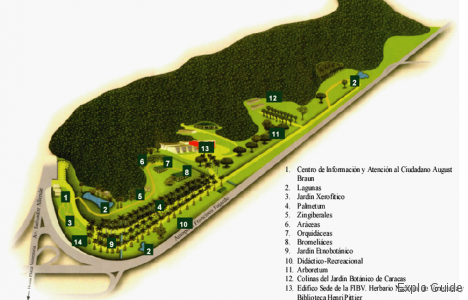 Botanical garden of Caracas Botanical garden of Caracas