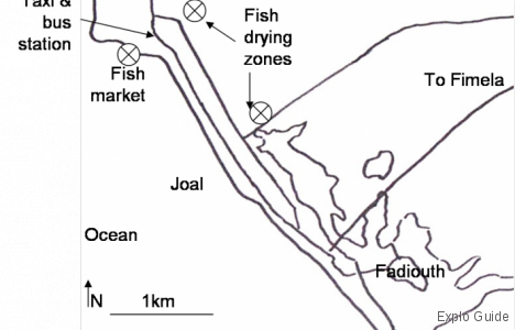 Joal Fadiouth fish industry, Petite Côte Explo-guide - Alternative travel database