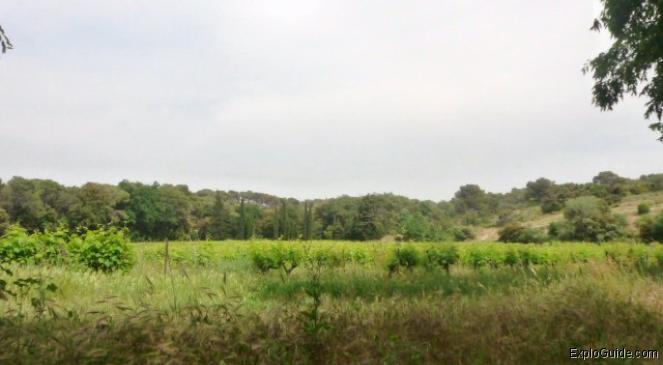 Chateau Bas Roman temple ruins, Vernegues ExploGuide - Off the Path Travel and Alternative Tourism database
