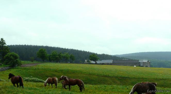 Le Sauvage Haute Loire ExploGuide - Off the Path Travel and Alternative Tourism database