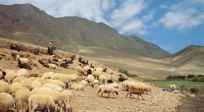 ExploGuide - Off the beaten path travel and alternative tourism database, offtrack destinations