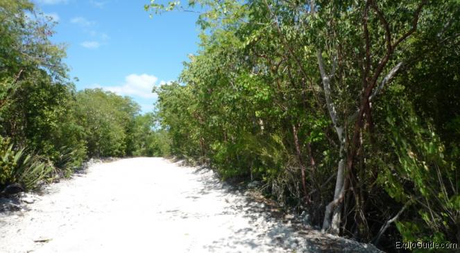 Playa Perla Blanca, Cayo Santa Maria, the access track