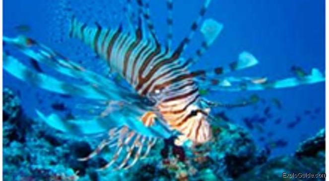 ExploGuide - Off the Path Travel and Alternative Tourism database